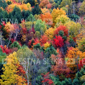 test jpg RGB narava2